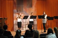 Divertimento musicale